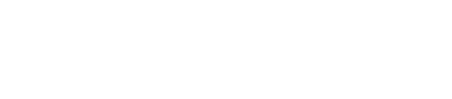 KOSMOS88